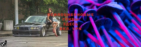 кокс Аркадак