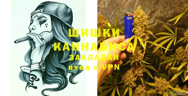 амф Арсеньев