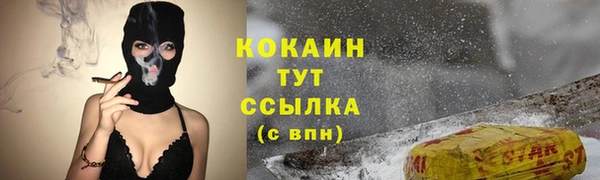 амф Арсеньев