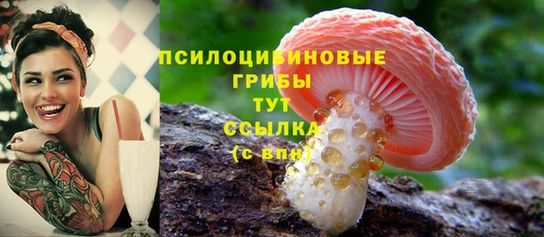 амф Арсеньев