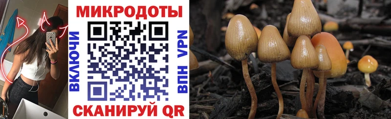 OMG зеркало  Оленегорск  Псилоцибиновые грибы ЛСД 